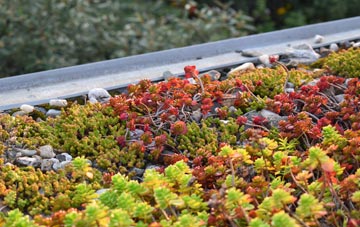 the cost of Craigrory green roof installation