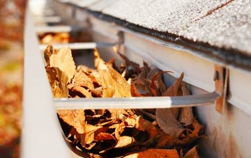 Craigrory gutter cleaning companies