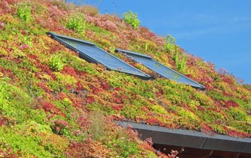 Craigrory living roof systems