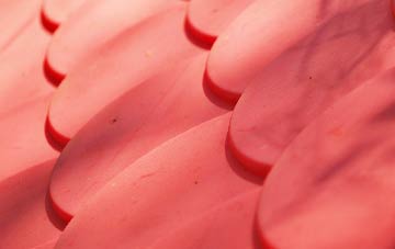 Craigrory plastic roof costs