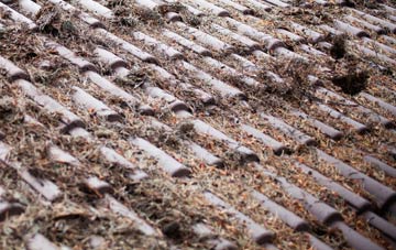 Craigrory roof cleaning companies