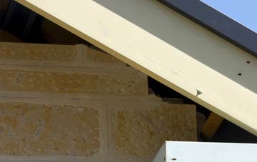 soffit repair Craigrory