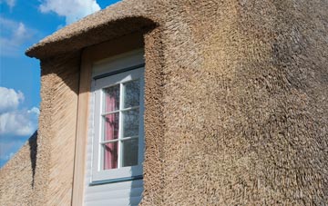Craigrory thatch roof disadvantages