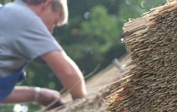 professional Craigrory thatchers