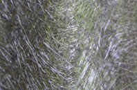 Craigrory fibreglass roof work